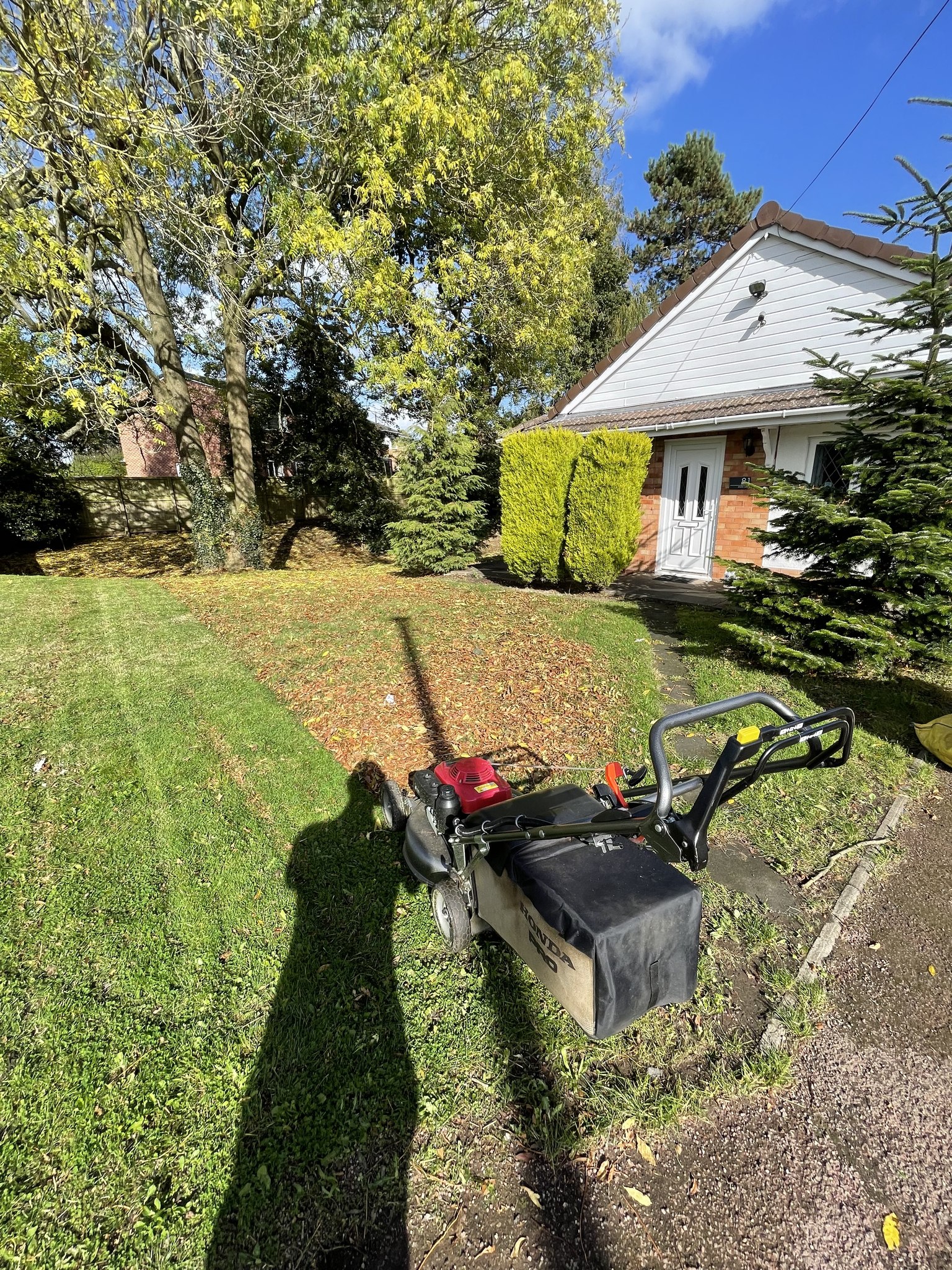 Professional grass cutting in Bromsgrove