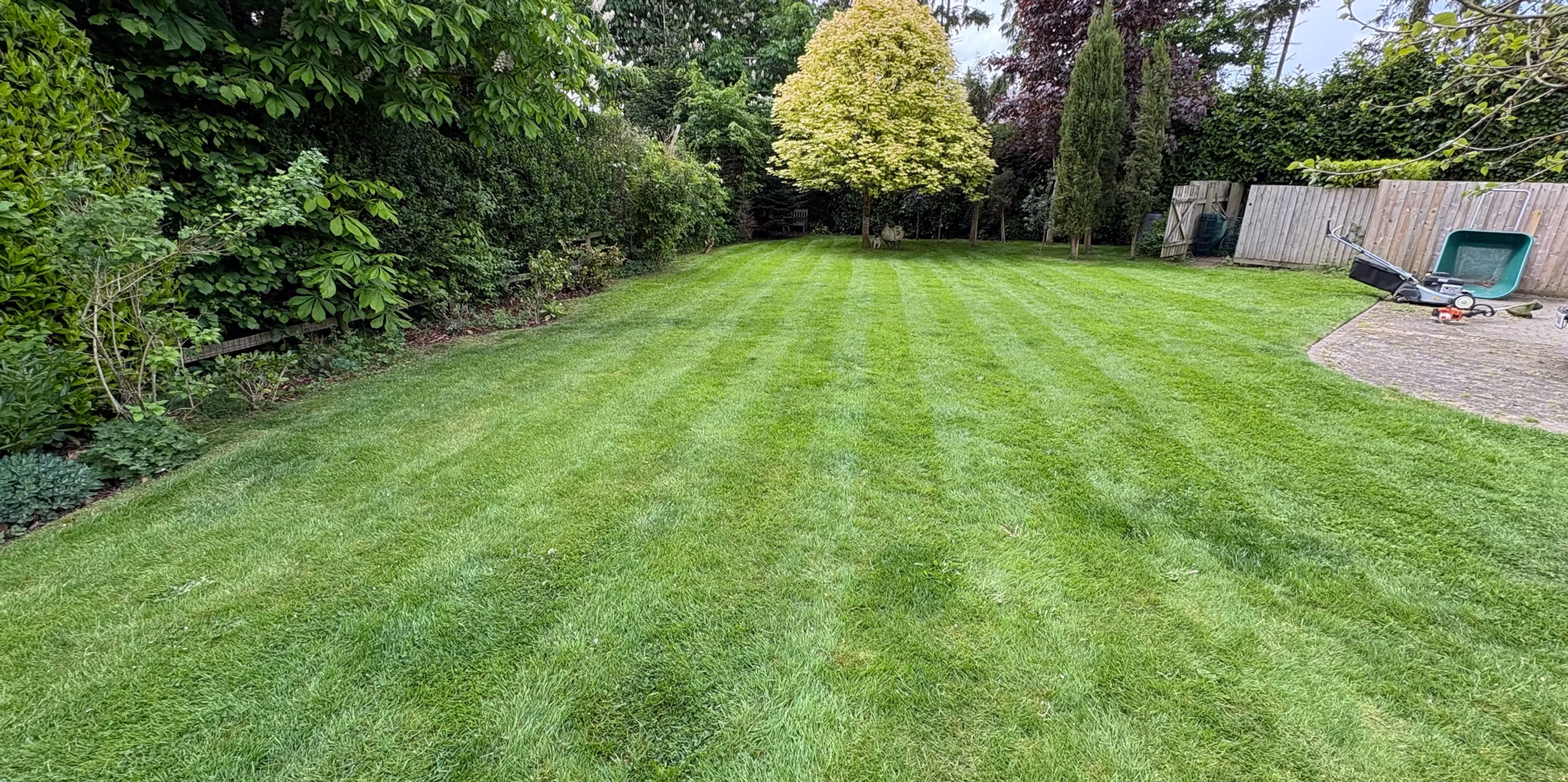 Professional grass cutting and lawn care in Bromsgrove, Worcestershire