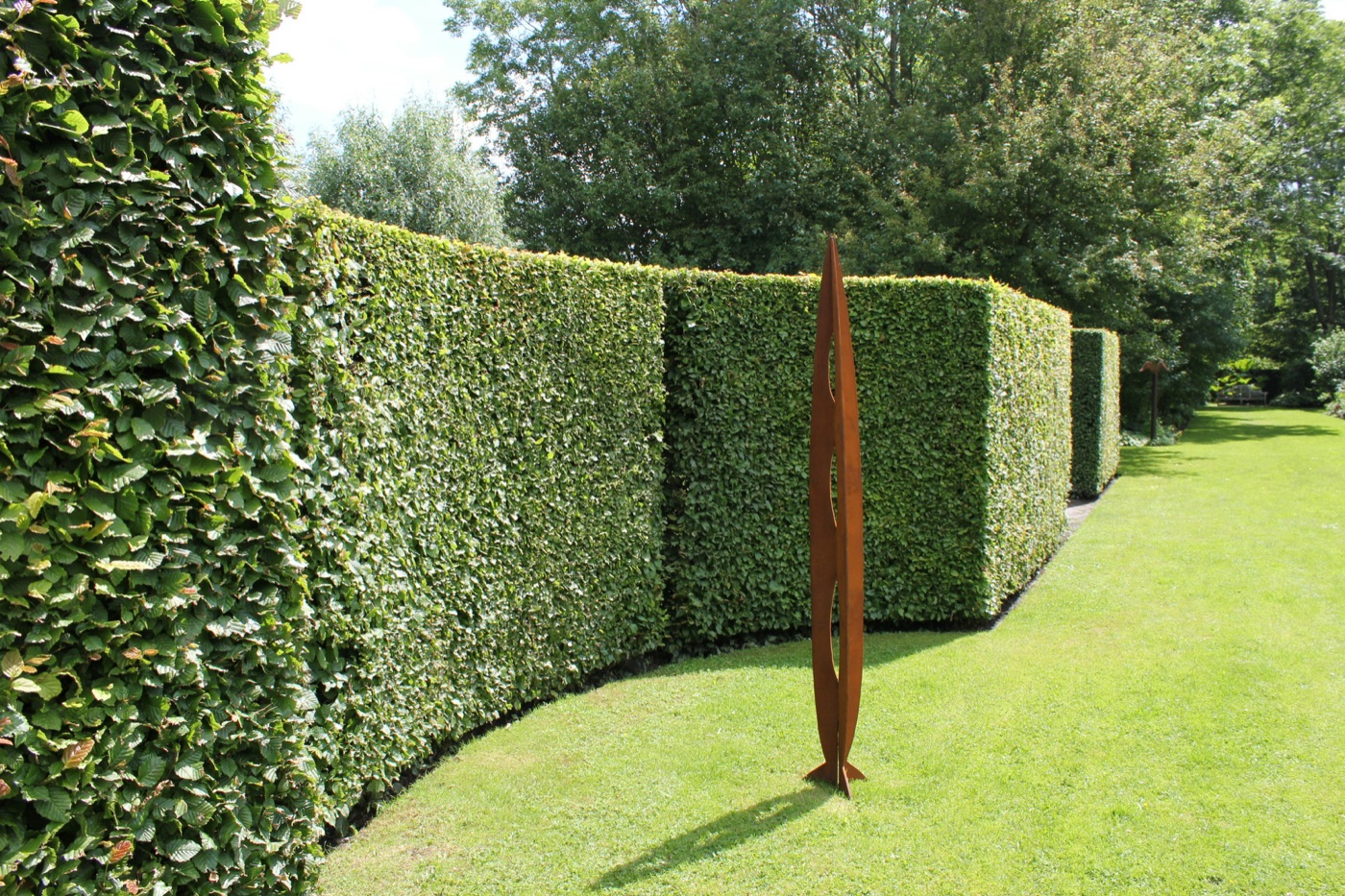 Hedge cutting and trimming in Bromsgrove