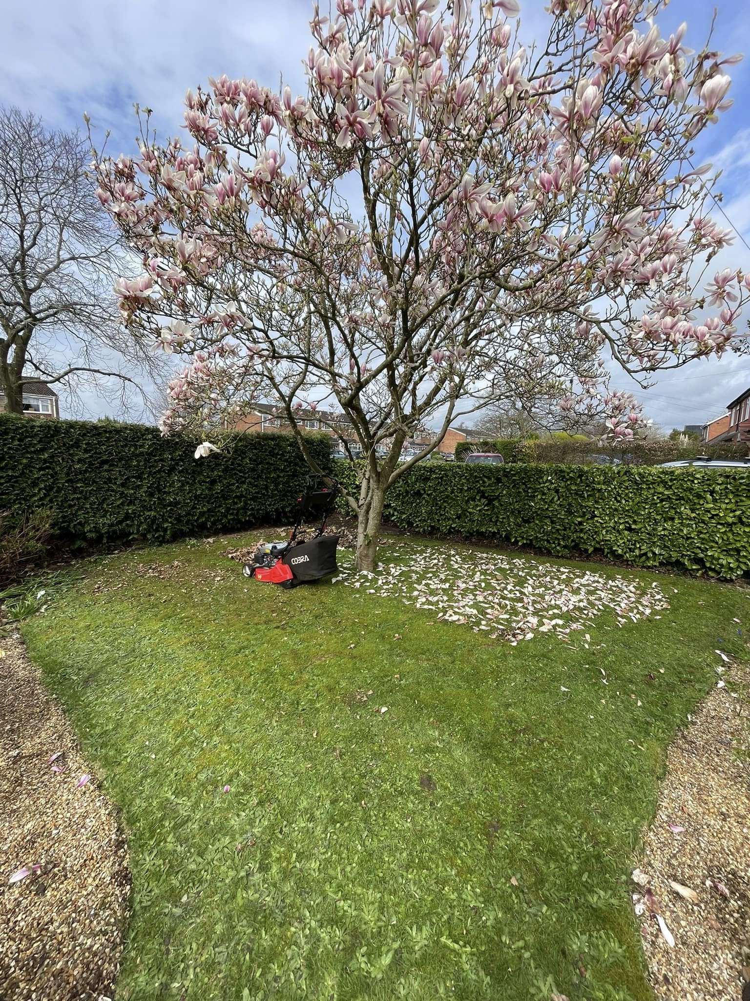 Lawn care across Worcestershire by Yew Tree Garden Services